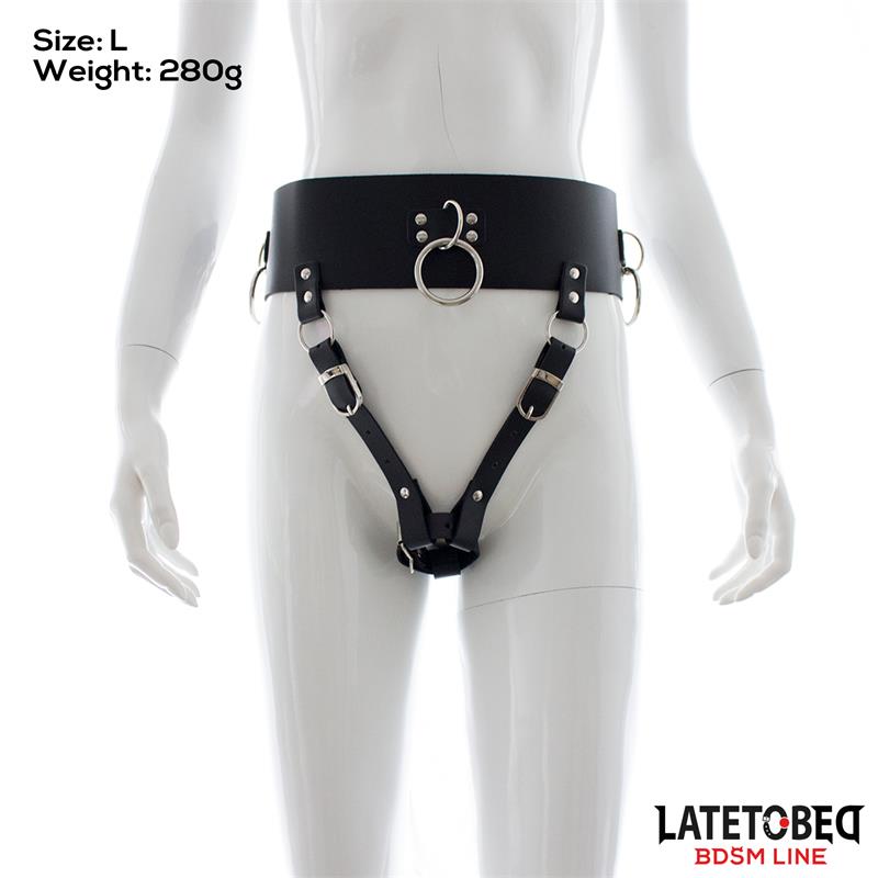 Adjustable Female Chastity Belt - Image 3