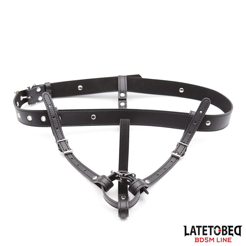 Harness Belt Adjustable - Image 6